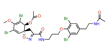 Diacetylhexadellin A